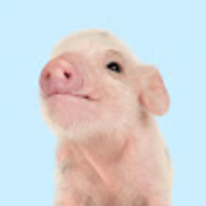 Meet your Posher, Emilia